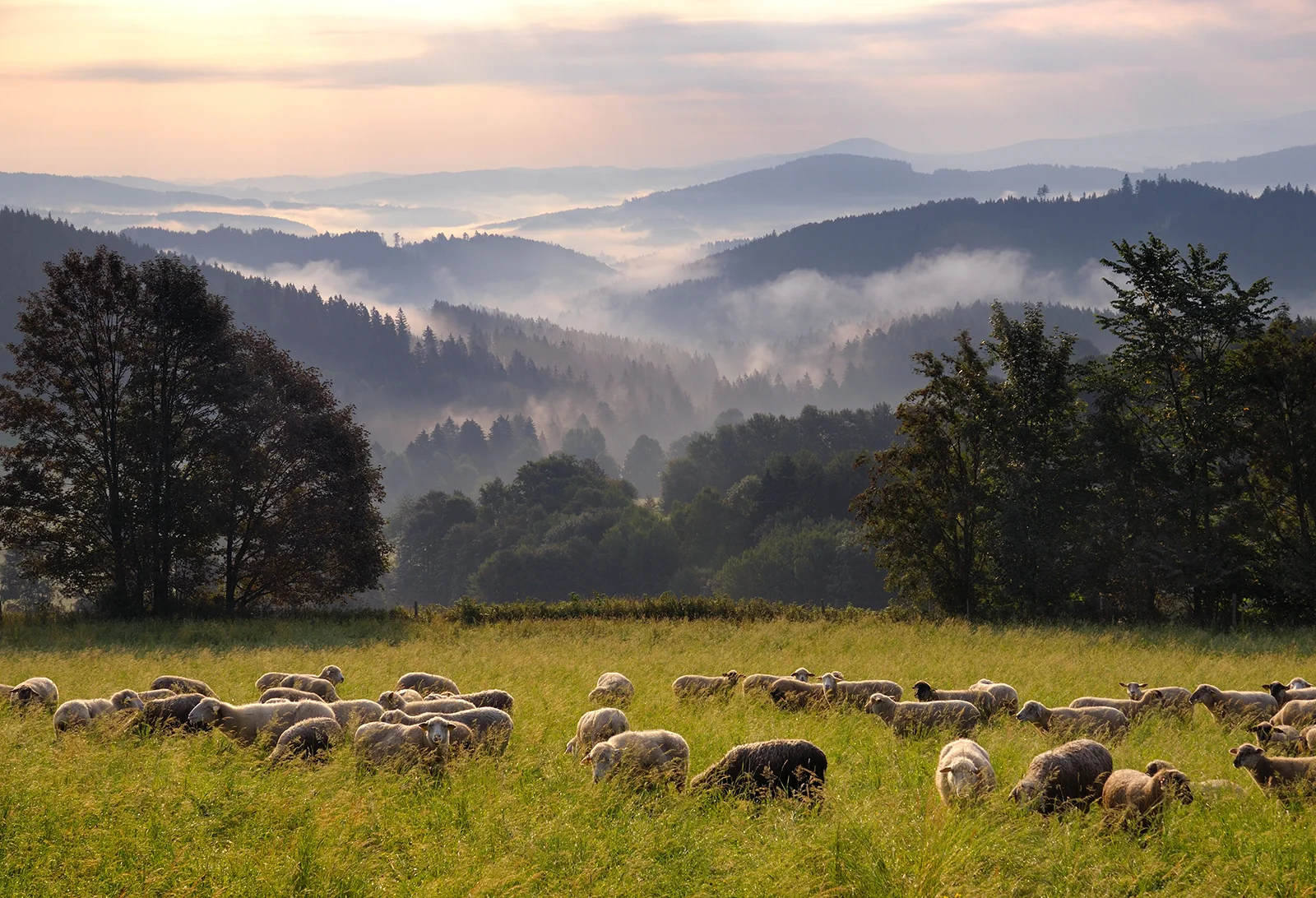 Paraje en el Parque Nacional de Šumava