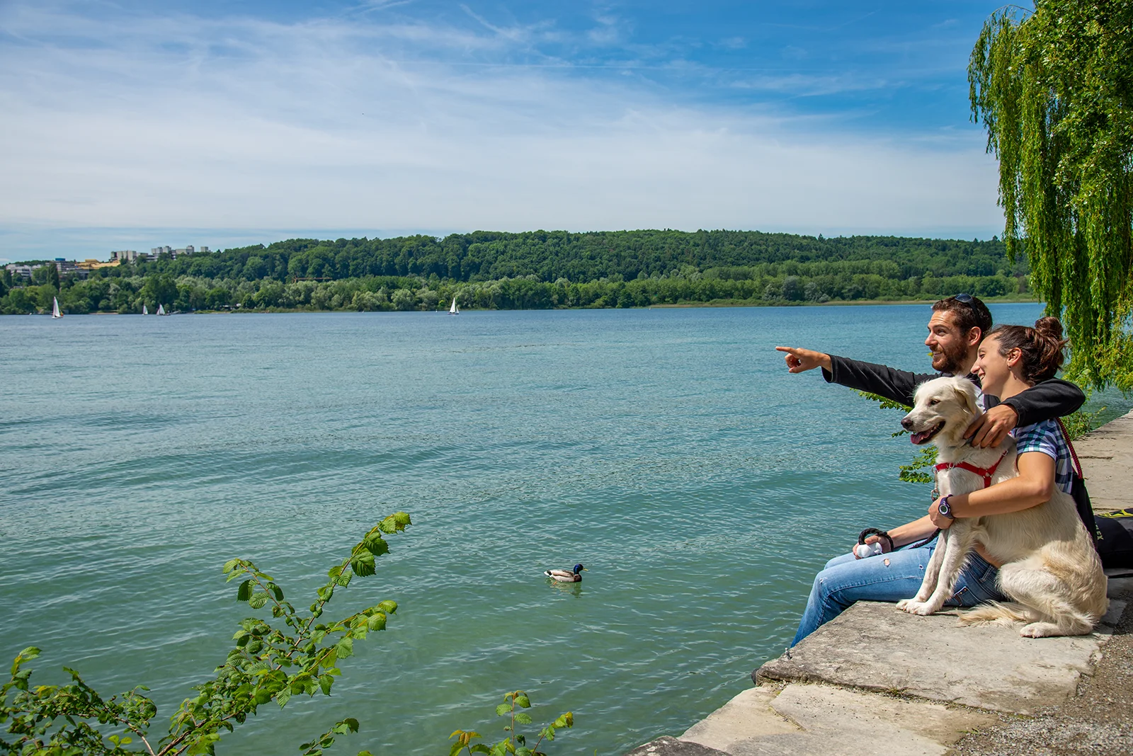 Vista de la isla de Mainau