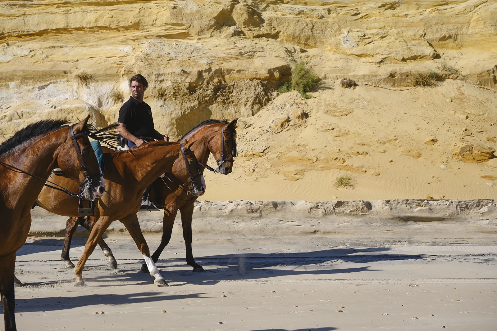 Paseo a caballo por la playa de Matalascañas