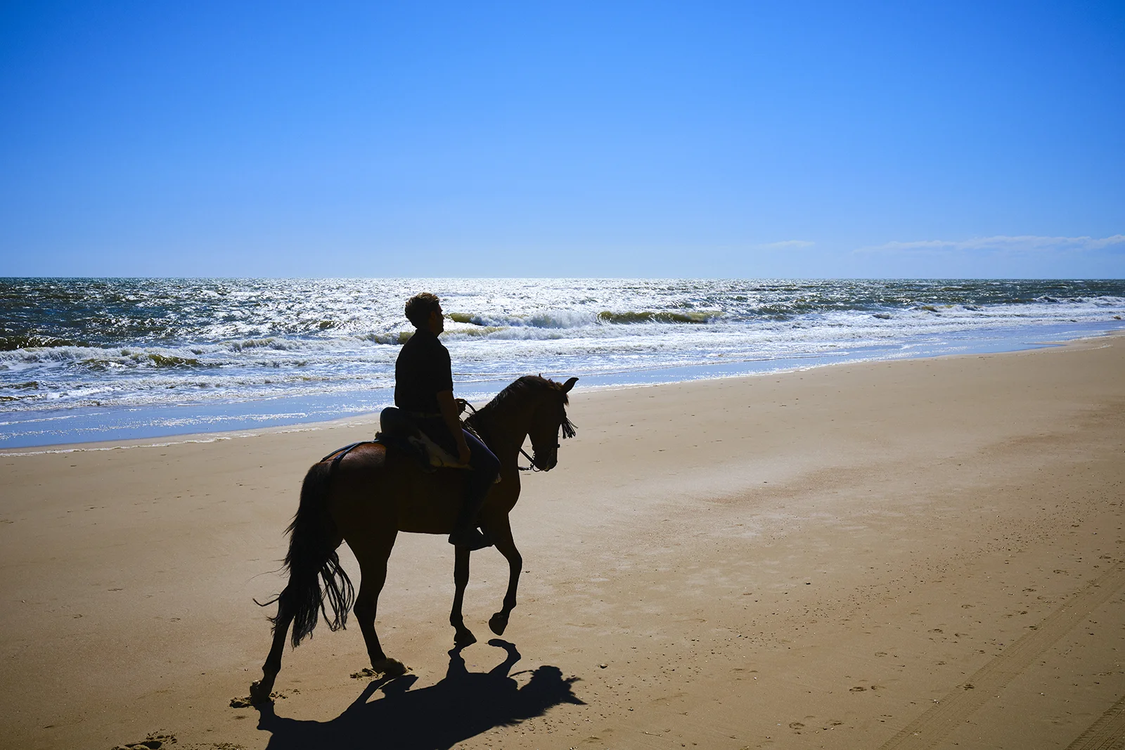Paseo a caballo por la playa de Matalascañas