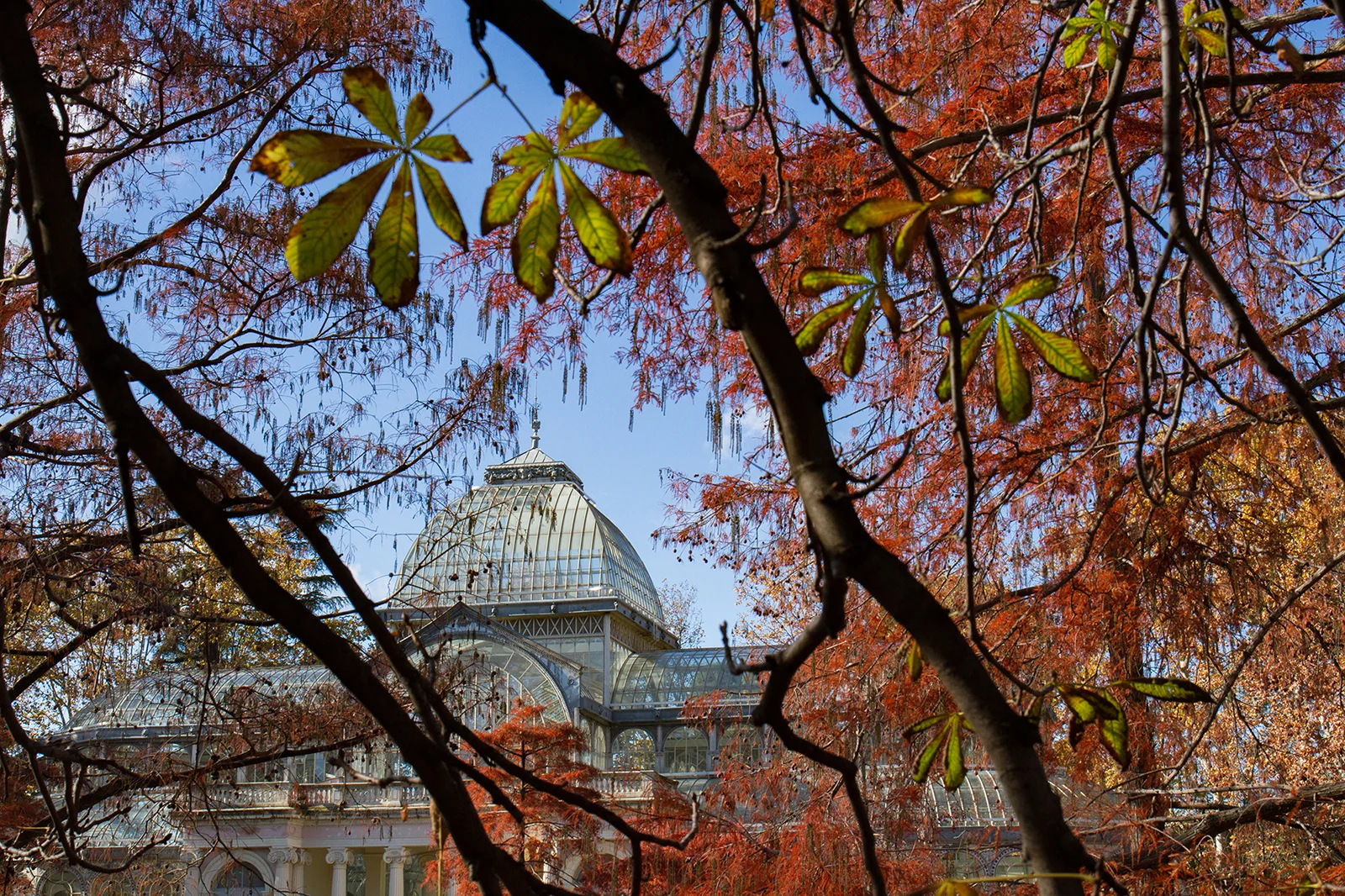 Palacio de Cristal, Retiro