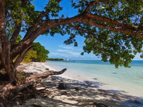 Playa tropical en los Cayos, Florida