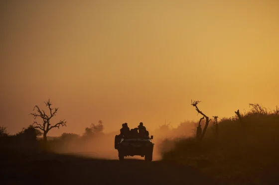 Parque Natural de Madikwe