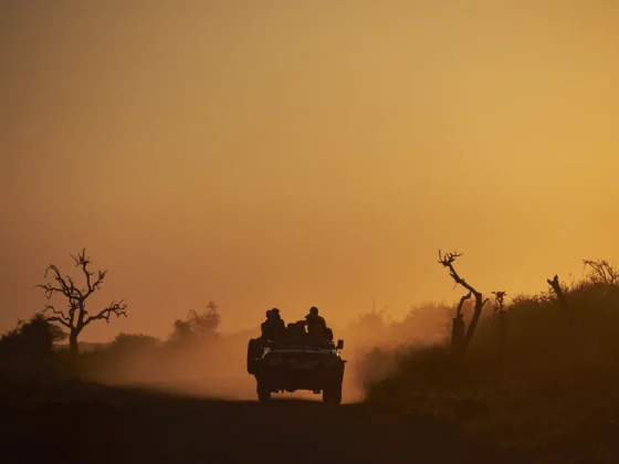 Parque Natural de Madikwe