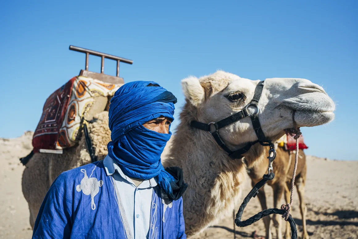 Dromedario en el desierto de Dajla